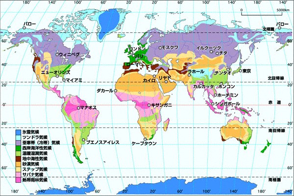 世界の気候と 森林